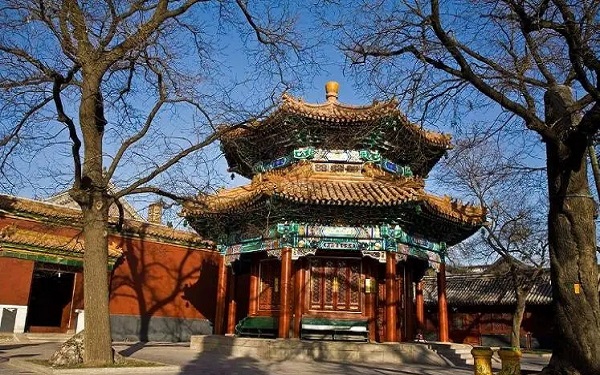 北大医院没有卵子库
