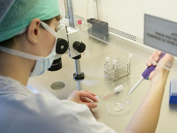 做供精人授需先申请精子