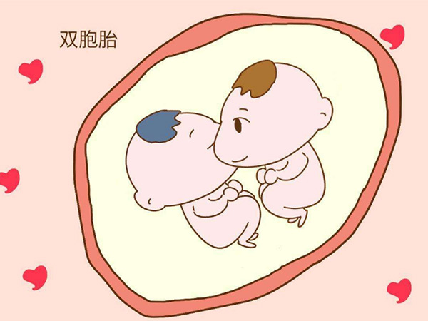 人工受孕双胞胎是不可以选择性别的