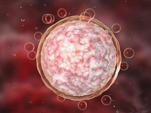 上海试管比重庆好