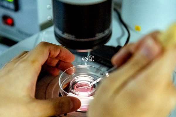 血友病做试管婴儿可以避免遗传