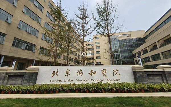 协和医院一级胚胎养囊成功率能达到90%