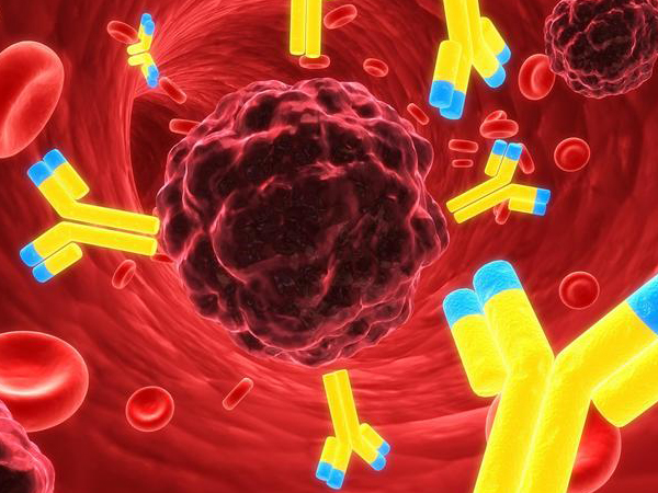 适当服用大豆异黄酮能增强免疫力